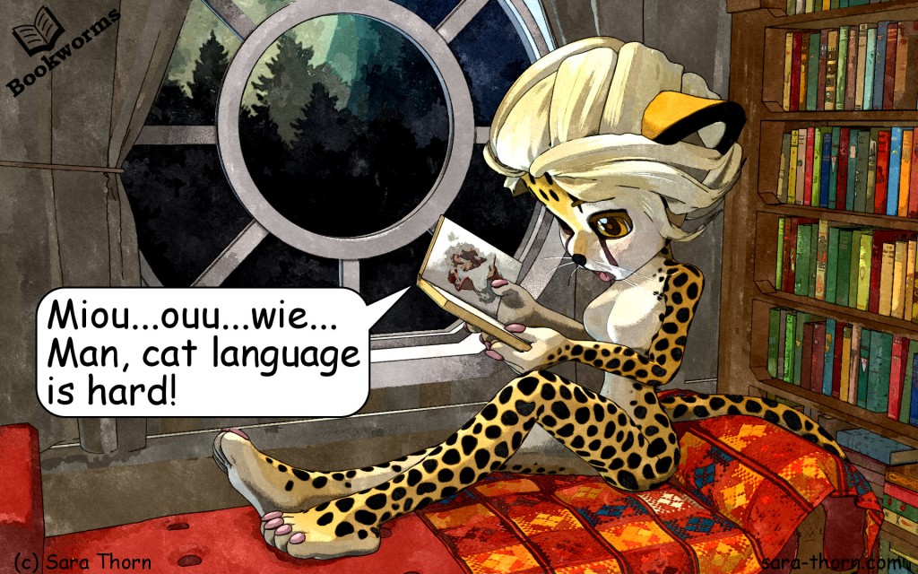 Cheetah studying cat language